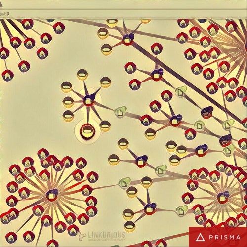 img_20161117_113141_processed