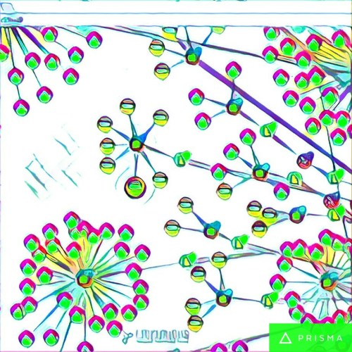 img_20161117_113610_processed