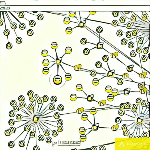 img_20161117_113625_processed