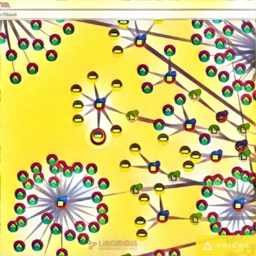 img_20161117_113714_processed