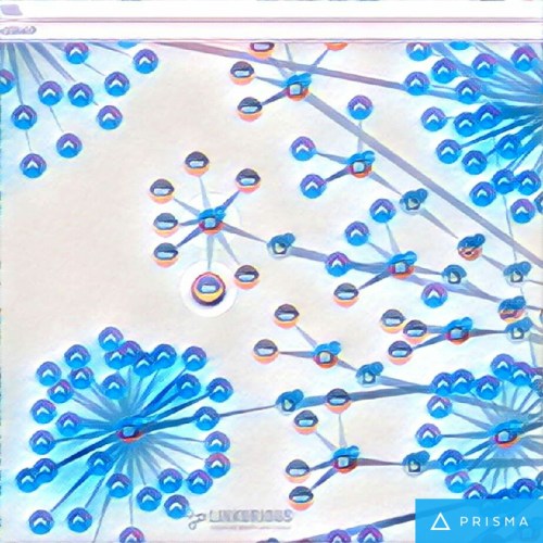 img_20161117_113728_processed