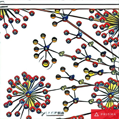 img_20161117_113741_processed