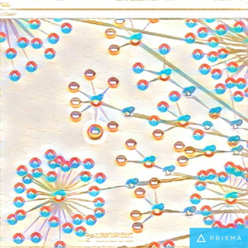 img_20161117_113745_processed